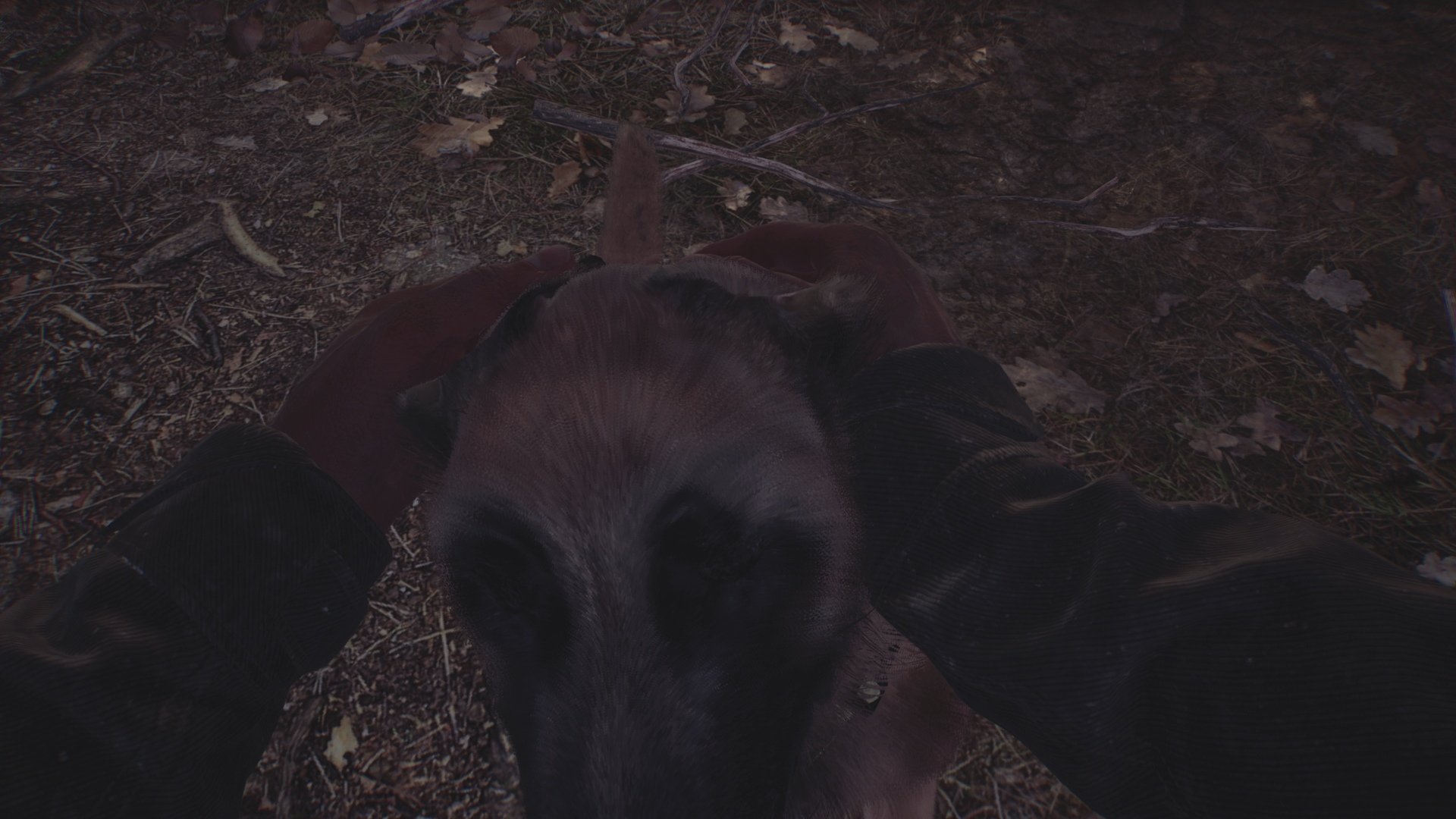 Blair Witch - Imagen 25